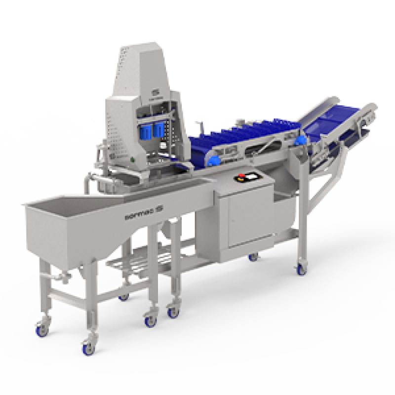 Dipflume