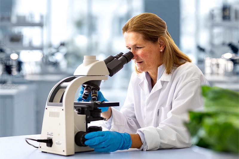 Microbiologisch%20onderzoek%20-%20Sormac.jpg