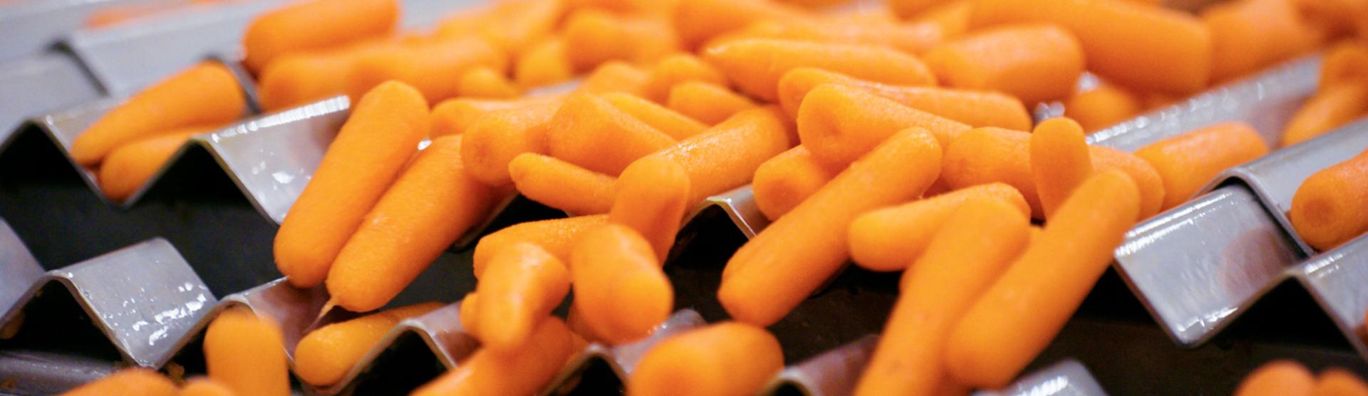 Baby carrot processing line