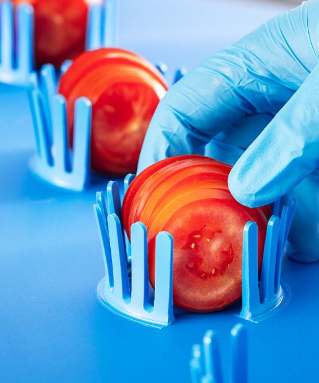 Sormac exhibits at Pack Expo and Fruit Attraction 2025