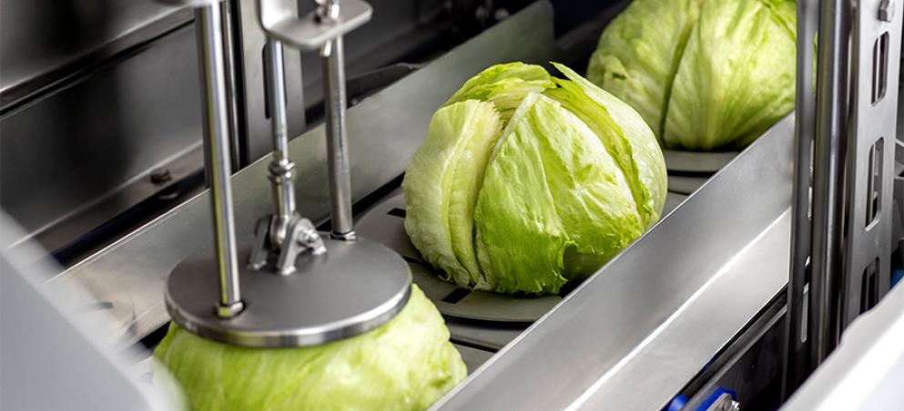 Natures Way Foods UK steigert seine Leistung mit OptiCor