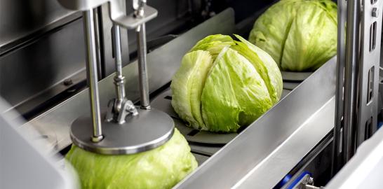 Natures Way Foods UK boosts performance with OptiCor