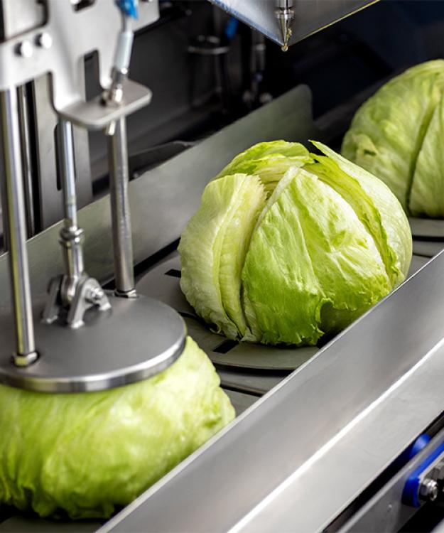 Natures Way Foods UK boosts performance with OptiCor