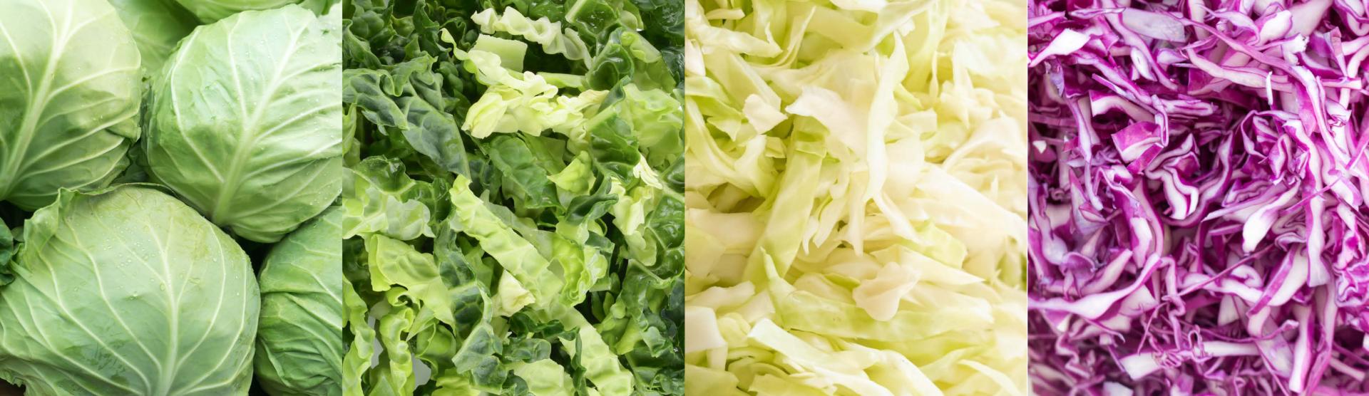 Cabbage processing