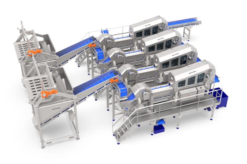 Onion processing - high capacity - Sormac