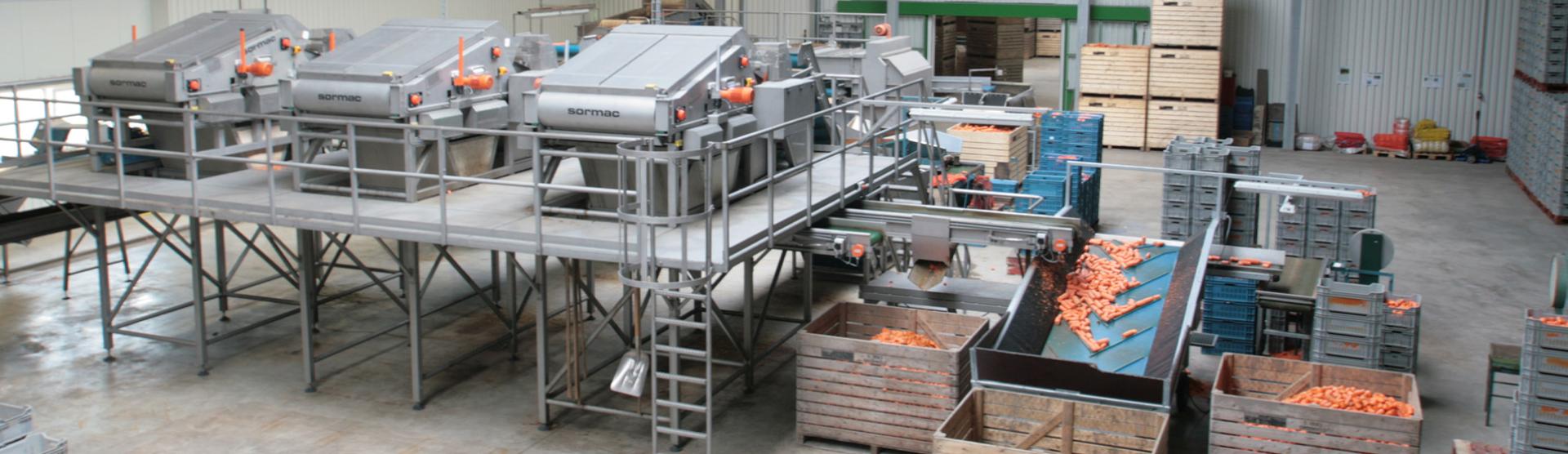 Carrot piece cutting line