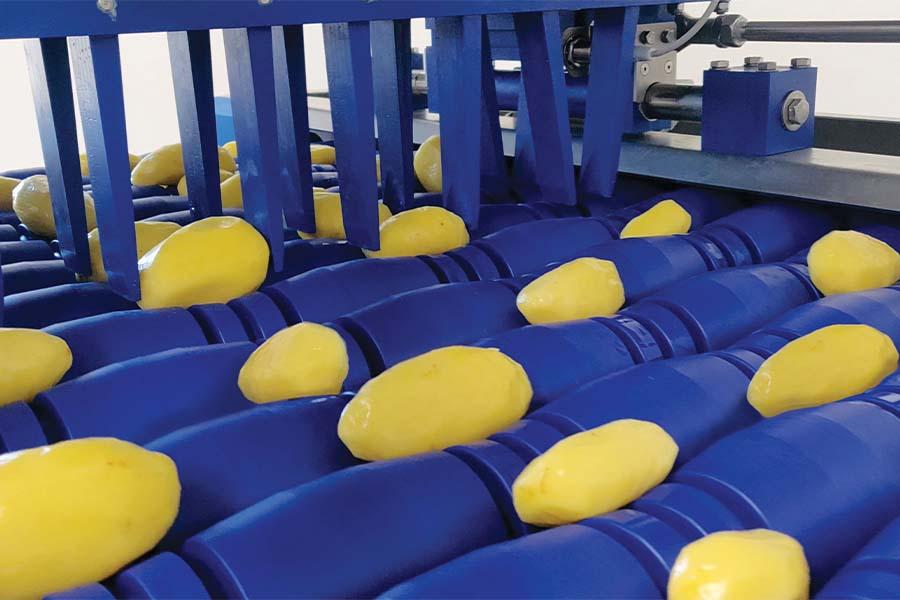 Aardappeldeelmachines%20-%20Sormac.jpg