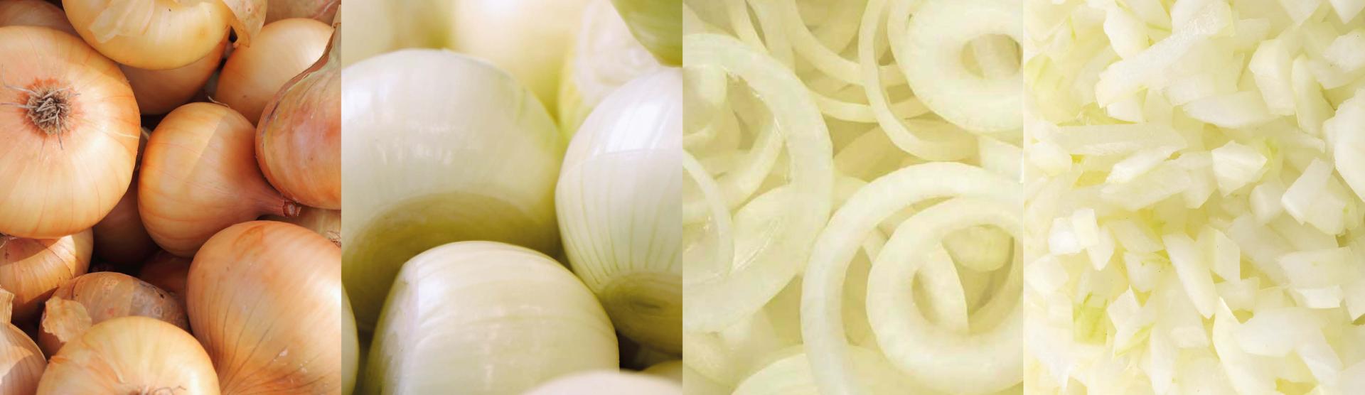 Onion processing