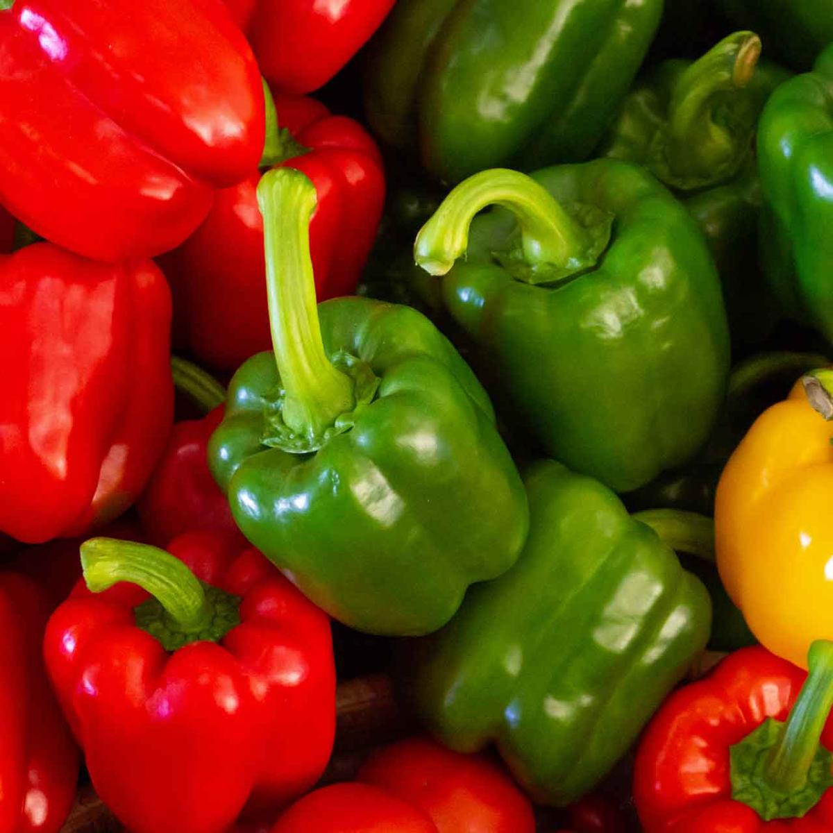 Fruiting vegetables