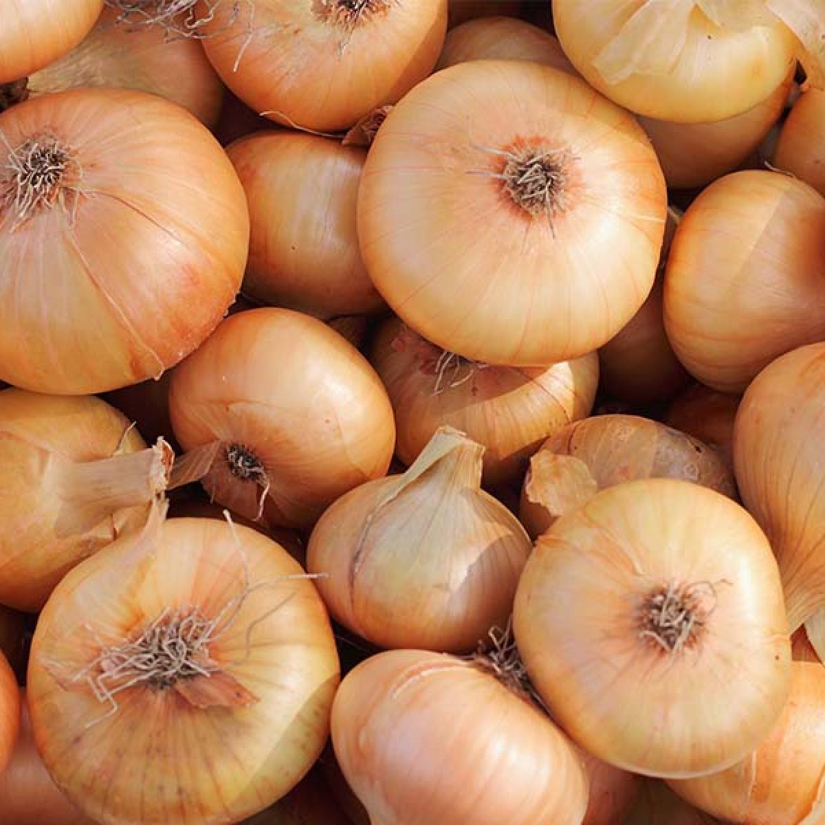Onions
