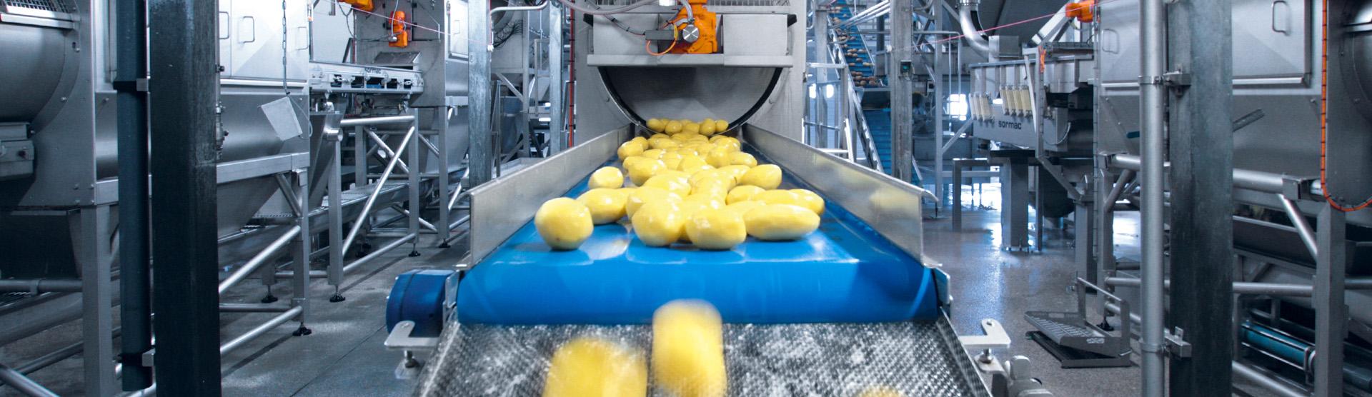 Potato peeling and cutting line