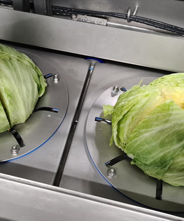 Sormac sees dynamism in UK and Ireland fresh-cut industry