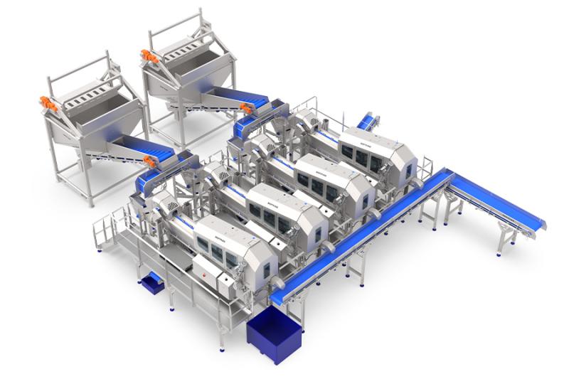 Onion processing - high capacity - Sormac