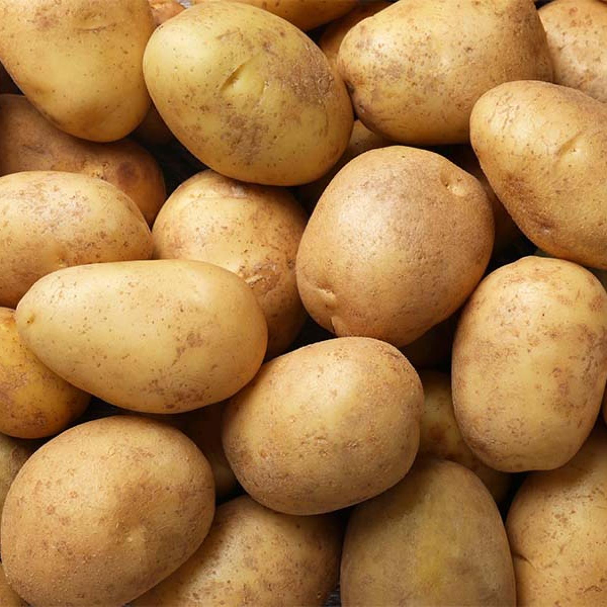 Potatoes