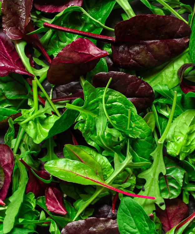 How Sormac helps processors protect leafy greens quality