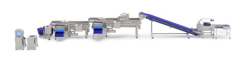 Vegetable processing line.jpg