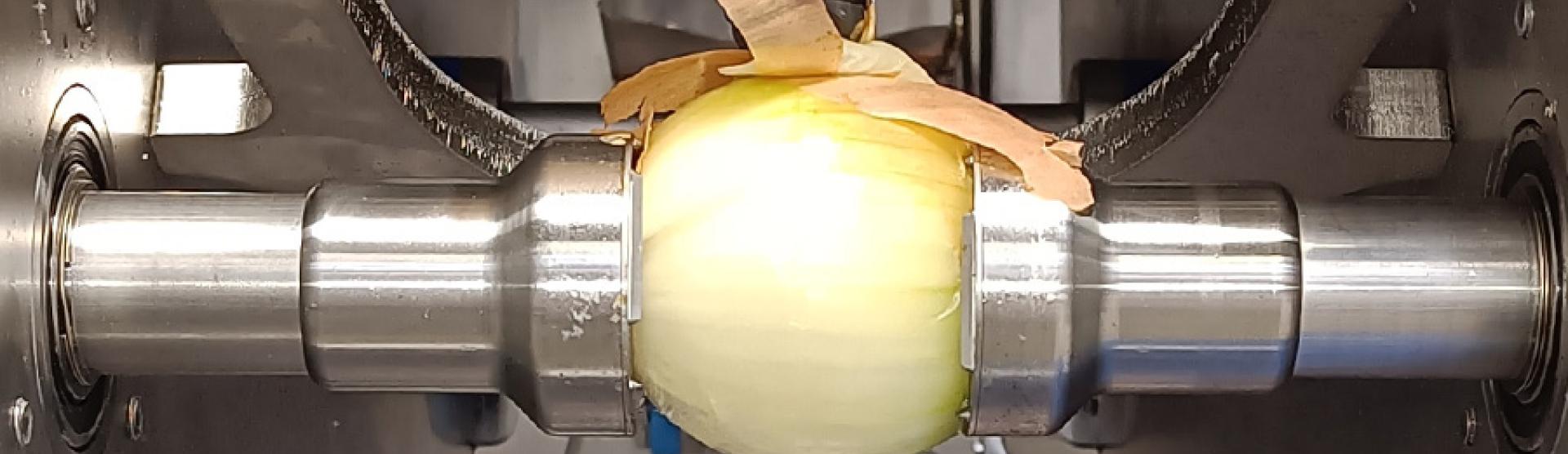 Onion peeling line